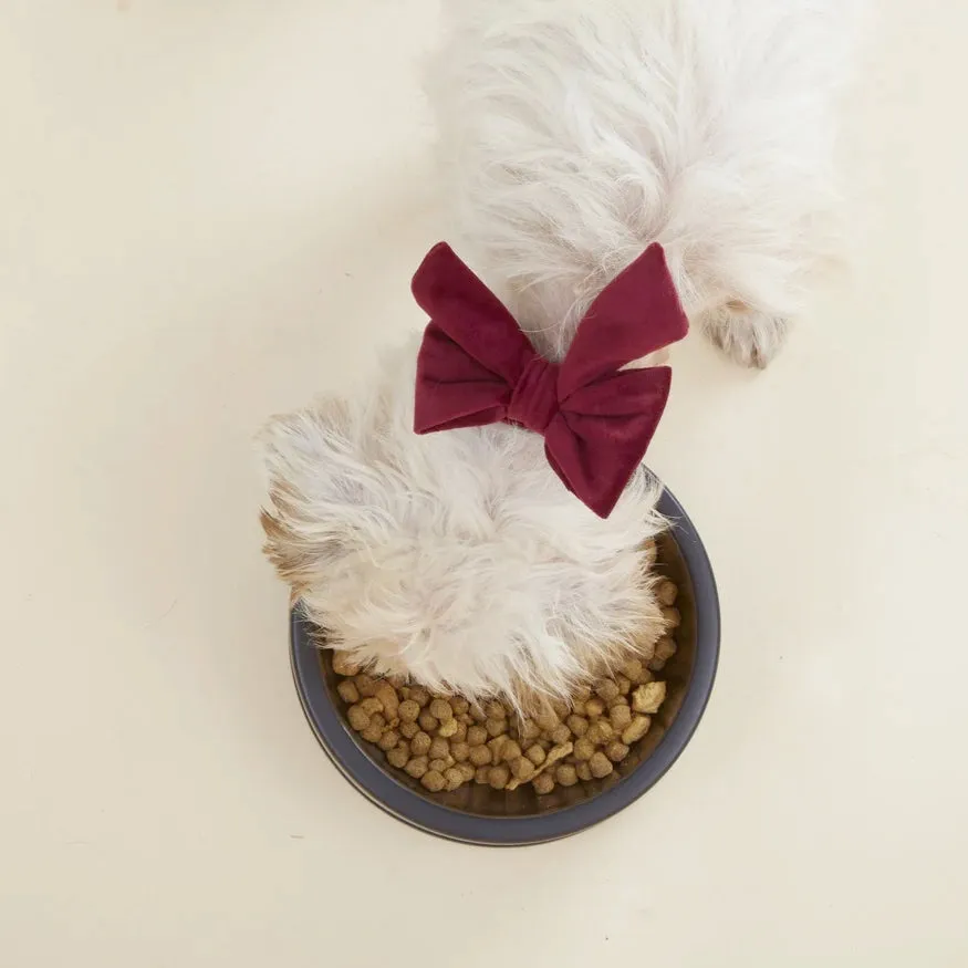 Dog and Cat Lady Bowtie: Burgundy Velvet