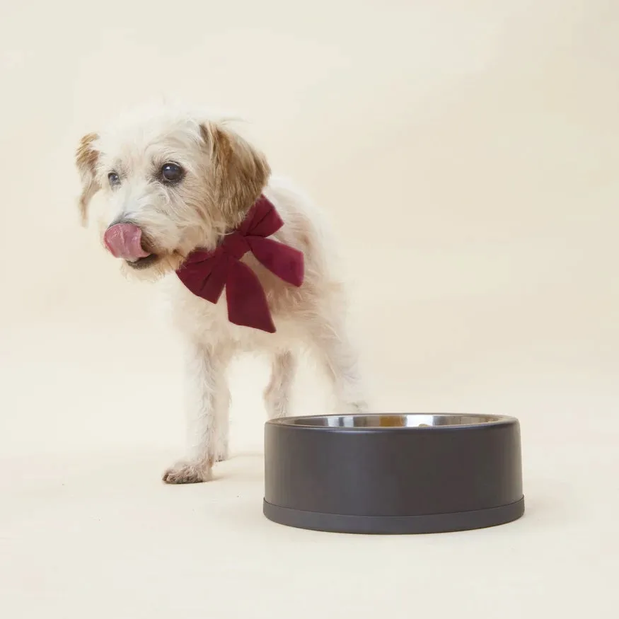 Dog and Cat Lady Bowtie: Burgundy Velvet