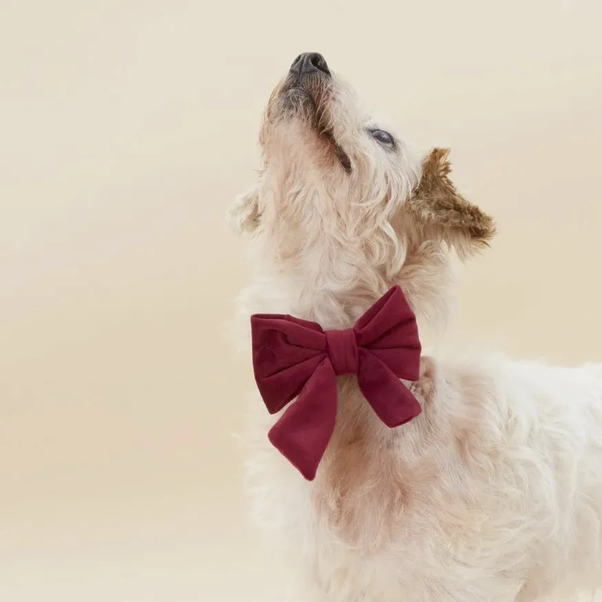 Dog and Cat Lady Bowtie: Burgundy Velvet