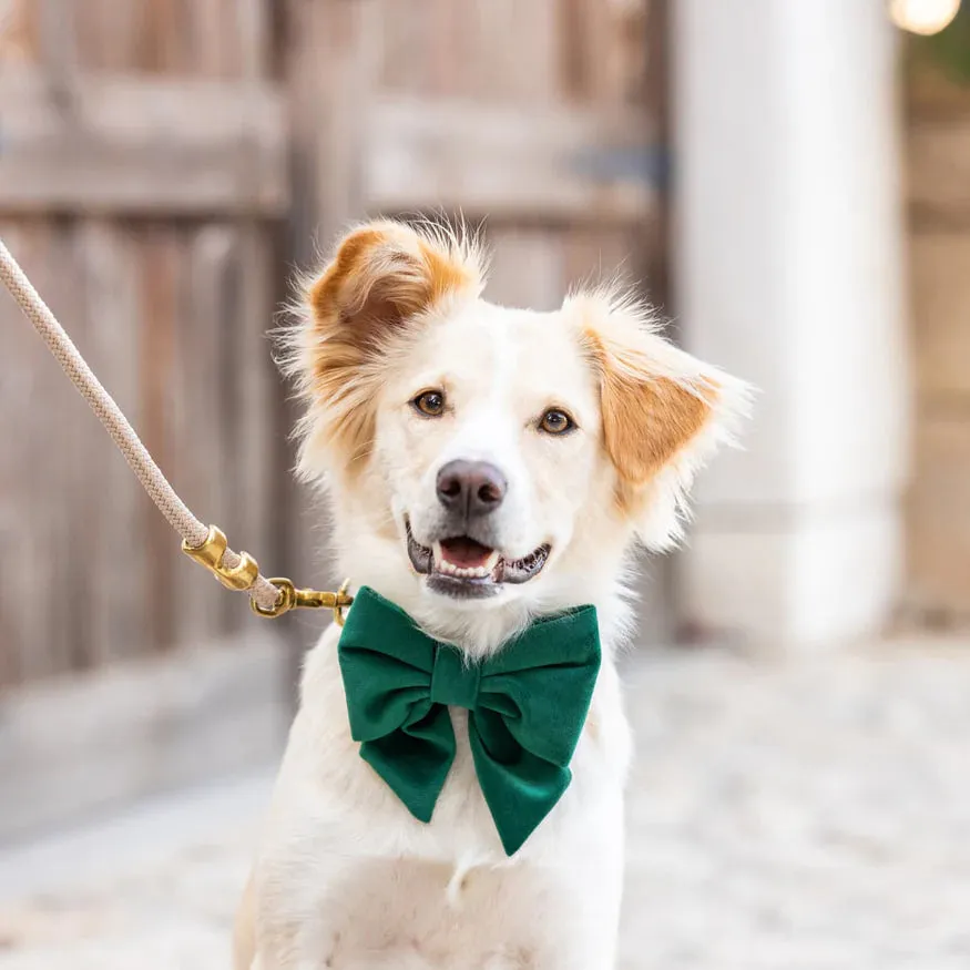 Dog and Cat Lady Bowtie: Forest Green Velvet