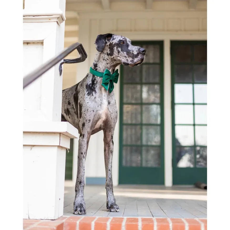 Dog and Cat Lady Bowtie: Forest Green Velvet