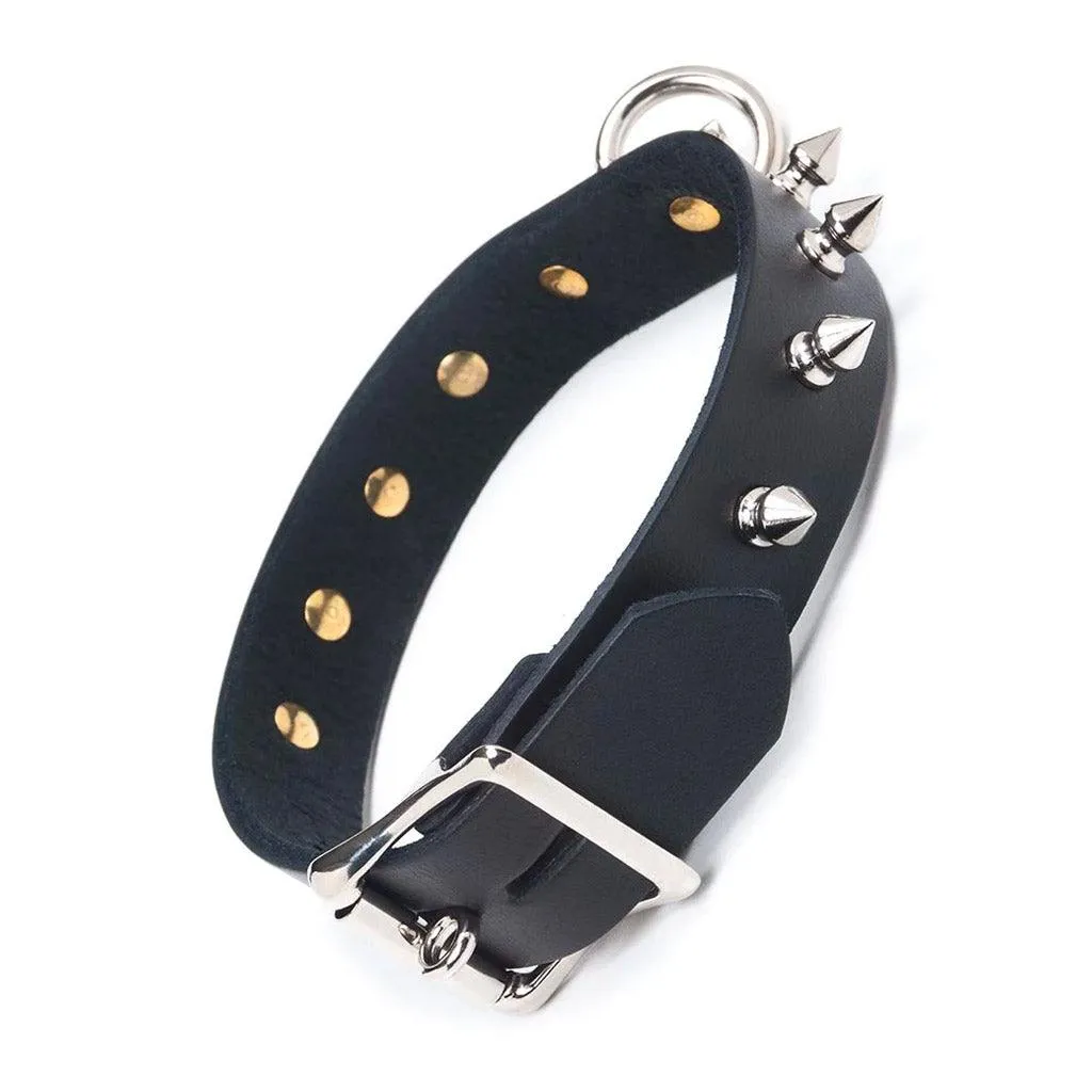 Leather Collar with Spikes