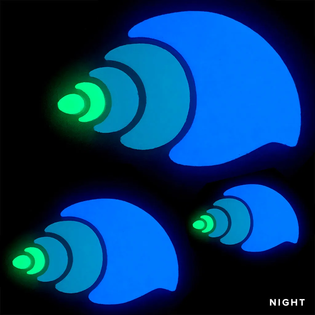 Nutmeg Shell Family - Glow in the Dark Pool Mosaics