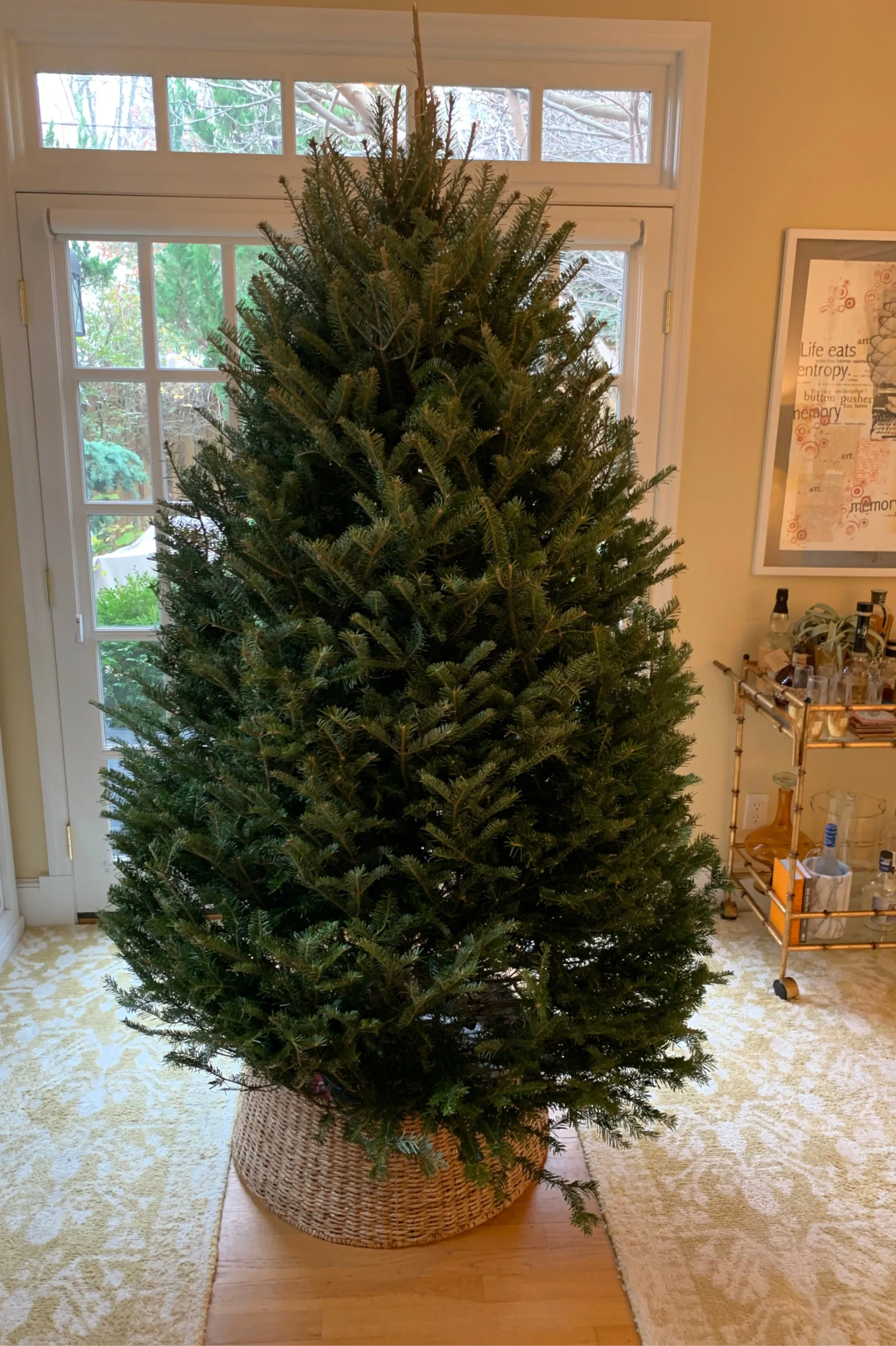 Real Christmas Trees Delivered 6 Foot Premium Balsam Fir Christmas Tree