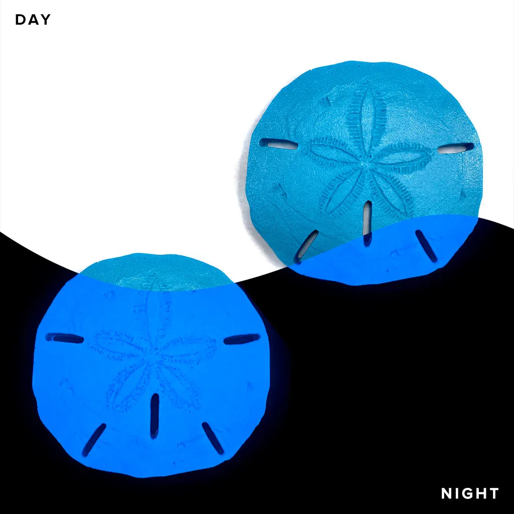 Sand Dollar x 2 - Glow in the Dark Pool Mosaics