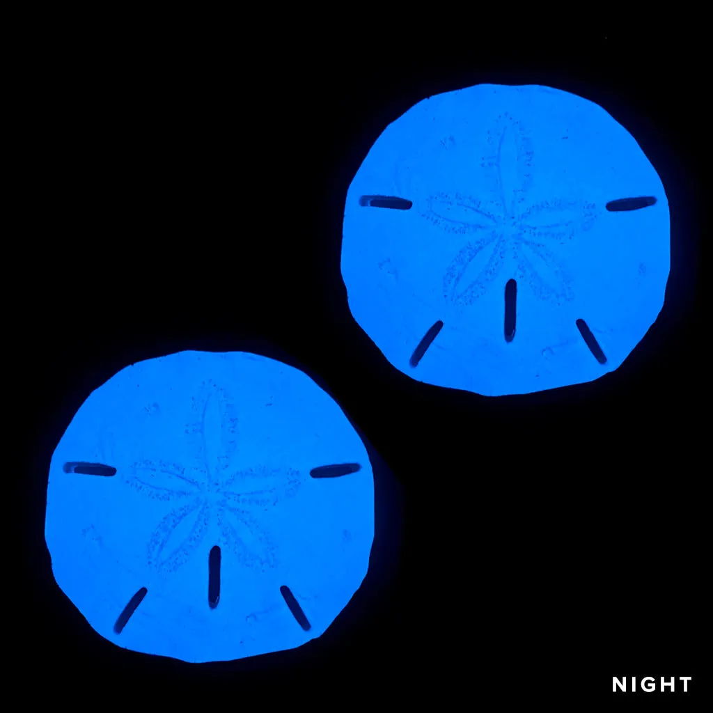 Sand Dollar x 2 - Glow in the Dark Pool Mosaics