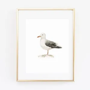 seagull art print