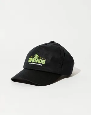 Vibrations - Hemp Cap